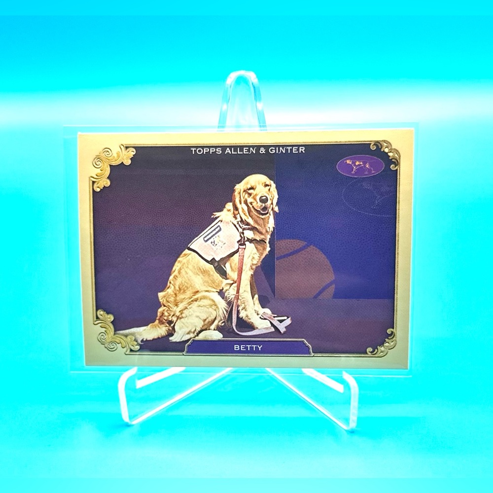 2024 Topps Allen & Ginter Westminster Kennel Club 🔥BETTY🔥#SOS-5